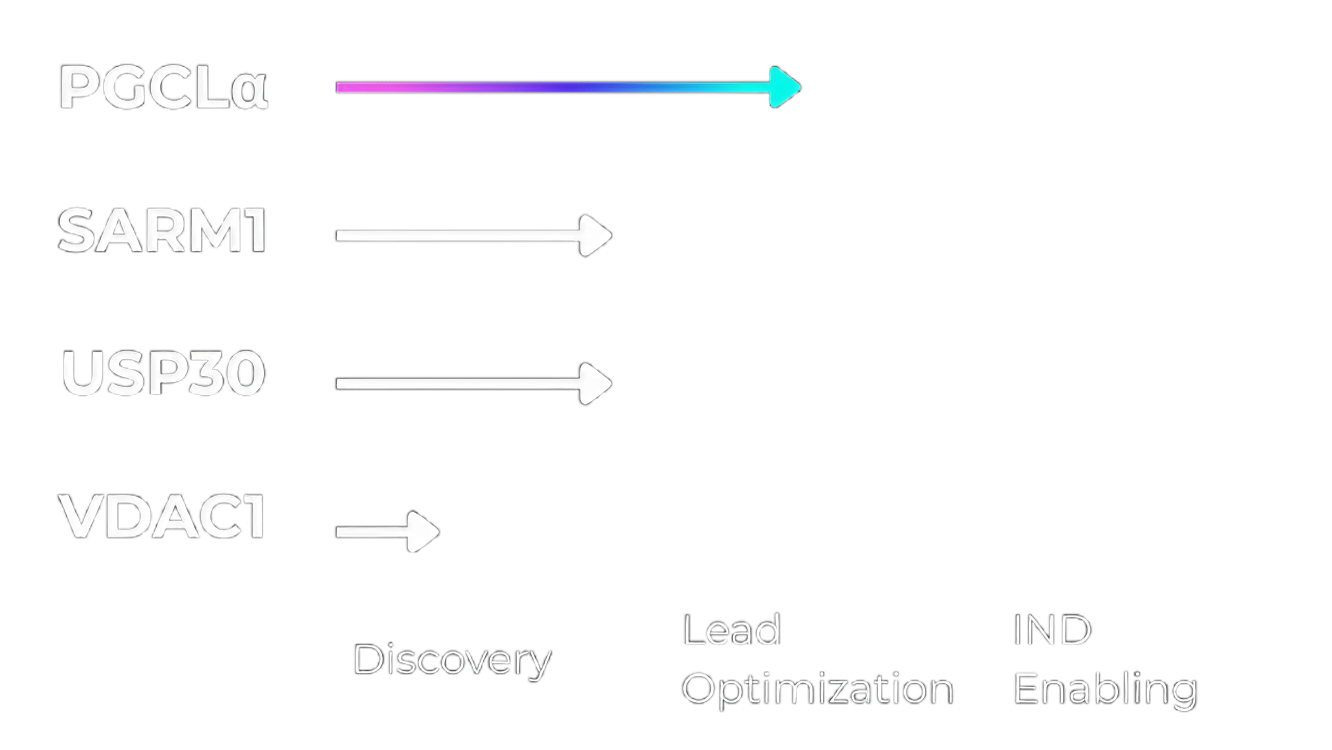 Nexogene Pipeline